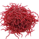 Isca artificial Minhoca - 100PCS